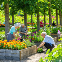 Seniors Gardening 